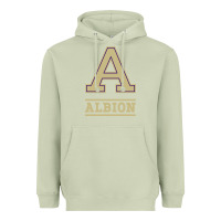 Matcha albion college athleticpurple Heavyweight Hoodie - linhVisuals