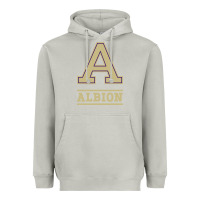 Moon Dust albion college athleticpurple Heavyweight Hoodie - linhVisuals