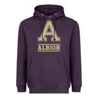 Albion College Athleticpurple Heavyweight Hoodie | Teevron