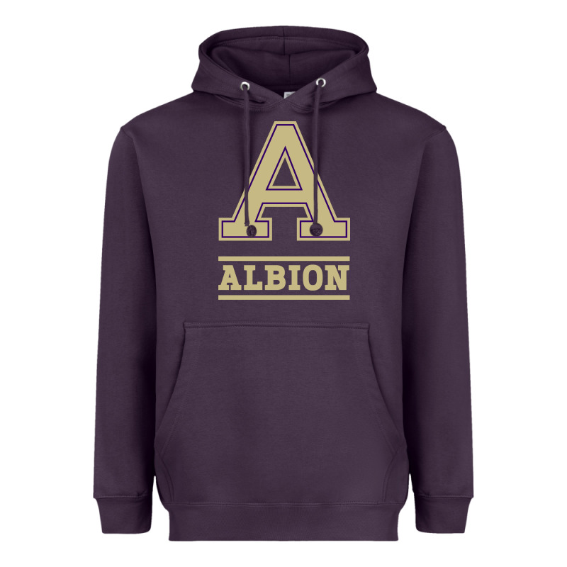 Albion College Athleticpurple Heavyweight Hoodie by linhVisuals | Teevron
