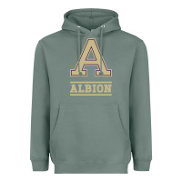 Sage albion college athleticpurple Heavyweight Hoodie - linhVisuals