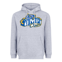 Heather Grey university of maine at presque isle vectorized Heavyweight Hoodie - linhVisuals