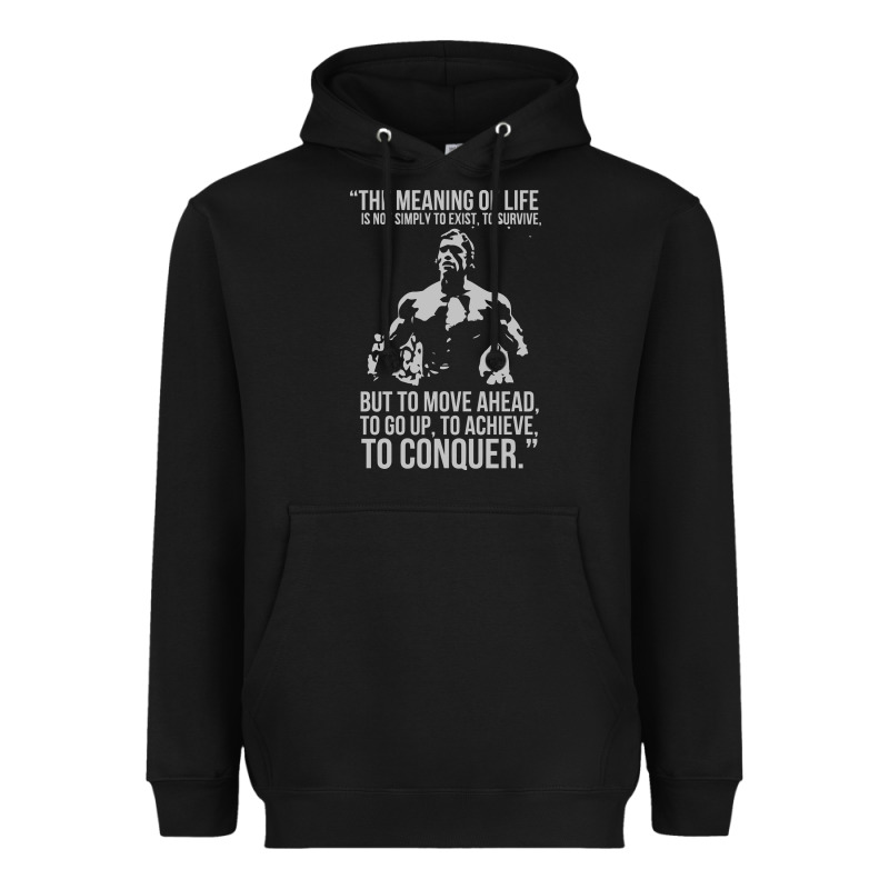 Schwarzenegger Arnie Heavyweight Hoodie by linhVisuals | Teevron