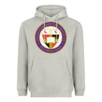 Moon Dust college of the holy cross Heavyweight Hoodie - linhVisuals