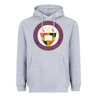 Heather Grey college of the holy cross Heavyweight Hoodie - linhVisuals