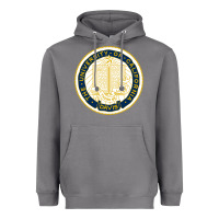 Storm university of california, davis Heavyweight Hoodie - linhVisuals