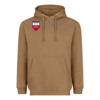 Toasted Coconut albright college vectorized Heavyweight Hoodie - linhVisuals