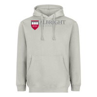 Moon Dust albright college vectorized Heavyweight Hoodie - linhVisuals