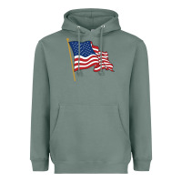 Sage American flag Heavyweight Hoodie - linhVisuals