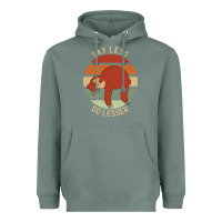 Sage say less do lesser funny sloth Heavyweight Hoodie - linhVisuals