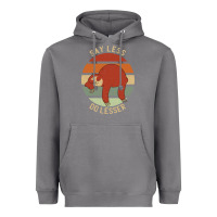 Storm say less do lesser funny sloth Heavyweight Hoodie - linhVisuals
