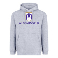 Westminster, Sudies In Utah Heavyweight Hoodie | Teevron