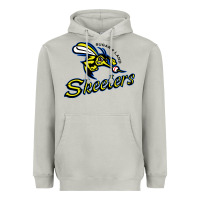 Moon Dust sugar land skeeters Heavyweight Hoodie - linhVisuals