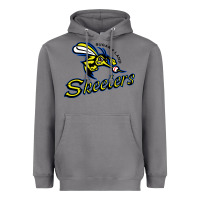 Storm sugar land skeeters Heavyweight Hoodie - linhVisuals