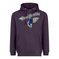 Plum tri city dust baseball Heavyweight Hoodie - linhVisuals