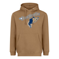 Toasted Coconut tri city dust baseball Heavyweight Hoodie - linhVisuals