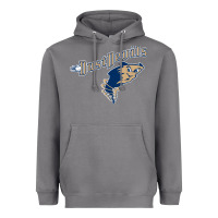 Storm tri city dust baseball Heavyweight Hoodie - linhVisuals