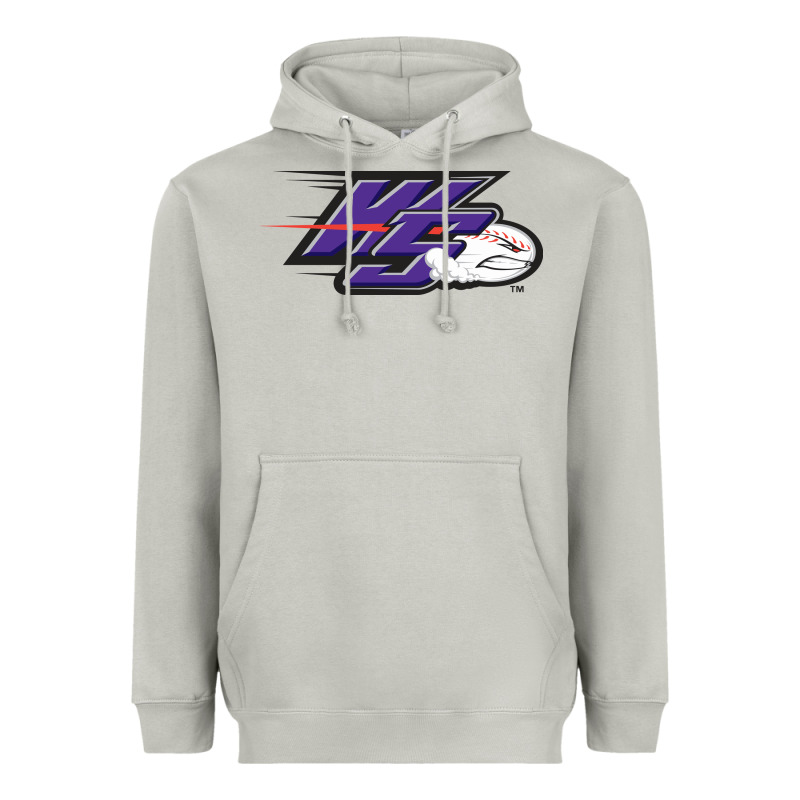Winston Salem Dash Heavyweight Hoodie by linhVisuals | Teevron