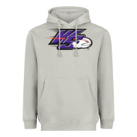 Winston Salem Dash Heavyweight Hoodie | Teevron