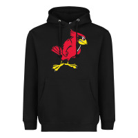 Black illinois state redbirds Heavyweight Hoodie - linhVisuals