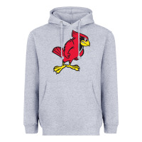 Heather Grey illinois state redbirds Heavyweight Hoodie - linhVisuals