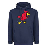 Navy illinois state redbirds Heavyweight Hoodie - linhVisuals
