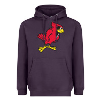 Plum illinois state redbirds Heavyweight Hoodie - linhVisuals