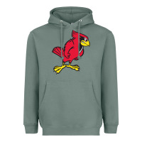 Sage illinois state redbirds Heavyweight Hoodie - linhVisuals