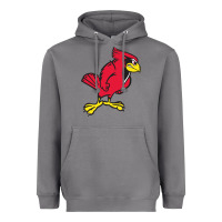 Storm illinois state redbirds Heavyweight Hoodie - linhVisuals