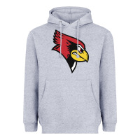 Heather Grey illinois state redbirds Heavyweight Hoodie - linhVisuals