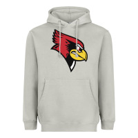 Moon Dust illinois state redbirds Heavyweight Hoodie - linhVisuals