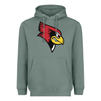 Sage illinois state redbirds Heavyweight Hoodie - linhVisuals