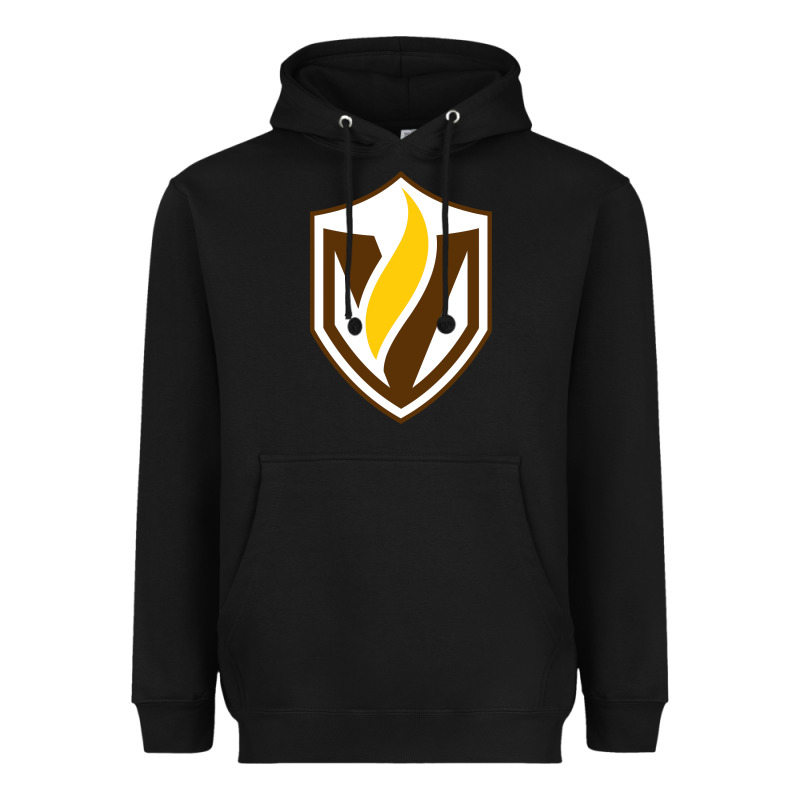 Valparaiso Beacons Heavyweight Hoodie by linhVisuals | Teevron