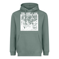 Sage the story   the story so far Heavyweight Hoodie - linhVisuals