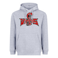 Heather Grey vipers sports Heavyweight Hoodie - linhVisuals