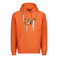 Carrot guanaco llama Premium Hoodie - LillyAllenDesigns