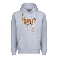 Heather Grey guanaco llama Premium Hoodie - LillyAllenDesigns