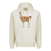 Oatmeal Heather guanaco llama Premium Hoodie - LillyAllenDesigns