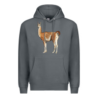 Rock guanaco llama Premium Hoodie - LillyAllenDesigns
