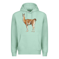Seafoam guanaco llama Premium Hoodie - LillyAllenDesigns