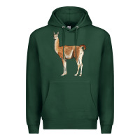 Sports Green guanaco llama Premium Hoodie - LillyAllenDesigns