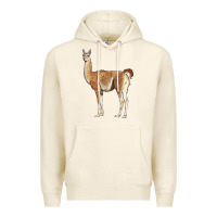Tofu guanaco llama Premium Hoodie - LillyAllenDesigns