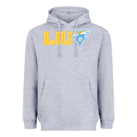 Heather Grey long island university sharks Heavyweight Hoodie - linhVisuals