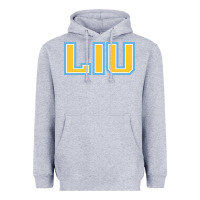 Heather Grey long island university sharks Heavyweight Hoodie - linhVisuals