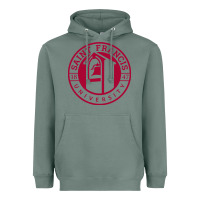 Sage st. francis (pa) red flash Heavyweight Hoodie - linhVisuals