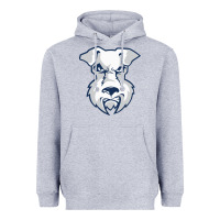 Heather Grey st. francis brooklyn terriers Heavyweight Hoodie - linhVisuals