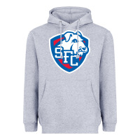 Heather Grey st. francis brooklyn terriers Heavyweight Hoodie - linhVisuals