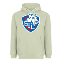 Matcha st. francis brooklyn terriers Heavyweight Hoodie - linhVisuals