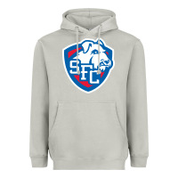 Moon Dust st. francis brooklyn terriers Heavyweight Hoodie - linhVisuals