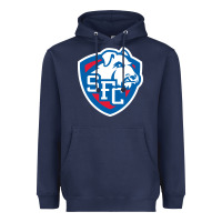 St. Francis Brooklyn Terriers Heavyweight Hoodie | Teevron